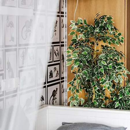 Apartman Butique