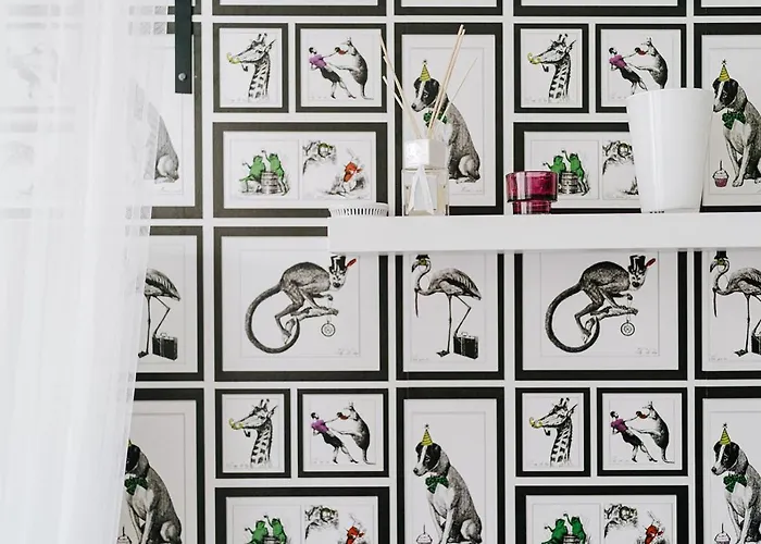 Butique * 巴拉通雷勒