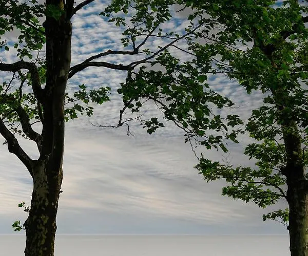 Butique * بالاتوليلّي