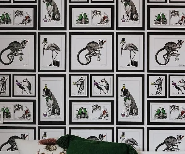 Butique 公寓 巴拉通雷勒